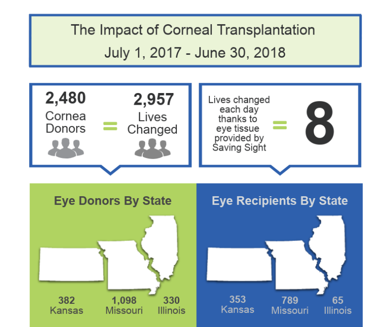 Saving Sight by the Numbers | The Impact of Eye Donation