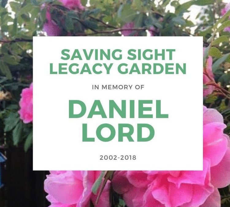 Daniel’s Legacy